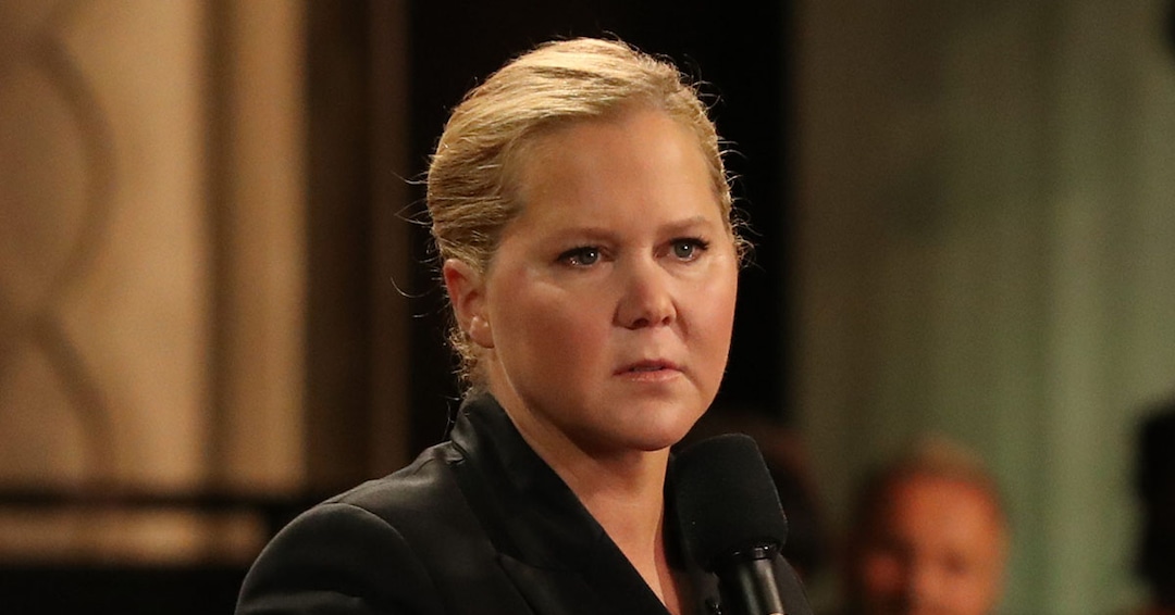 Amy Schumer, Shonda Rhimes & More Filmmakers Sign Gun Safety Pledge Amy Schumer, Shonda Rhimes & More Filmmakers Sign Gun Safety Pledge